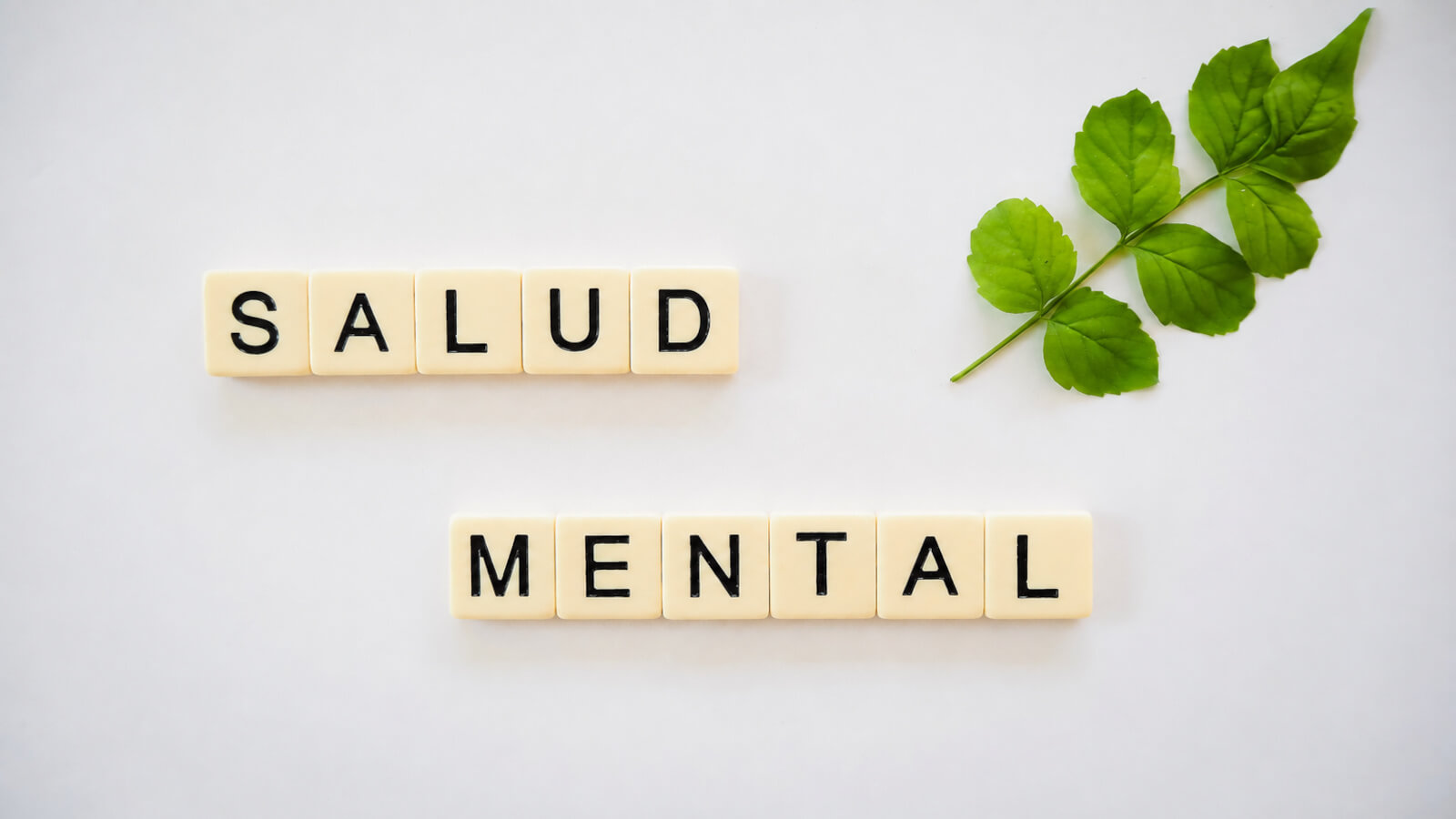 Bienestar emocional y salud mental en Clínica San Fernando